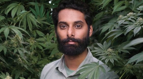 Krishna Sai Andavolu