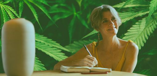 Photo for: Ten most widely viewed cannabis journalists