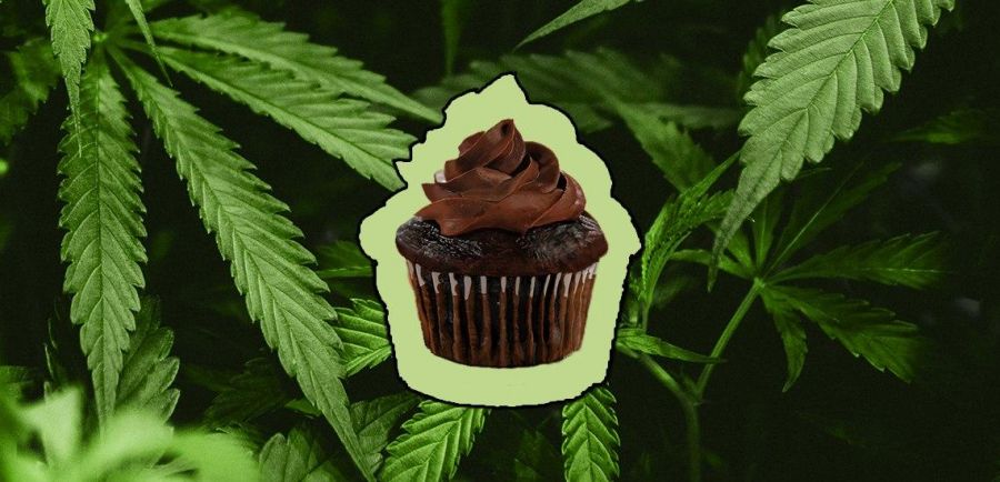 Photo for: How To Make Your Edibles Brand Stand Out In The Canna-verse