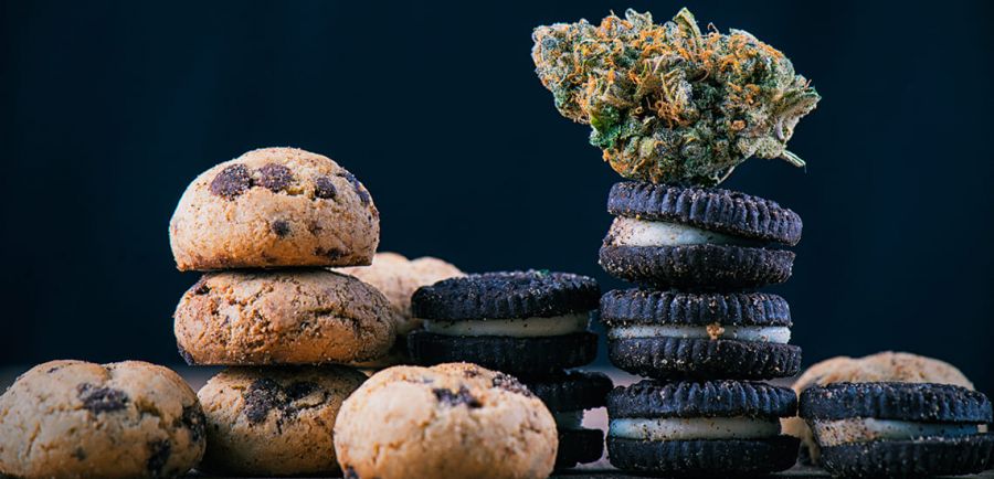 Photo for: Cannabis Food: What Does It Include and Why Is It Set to Explode?