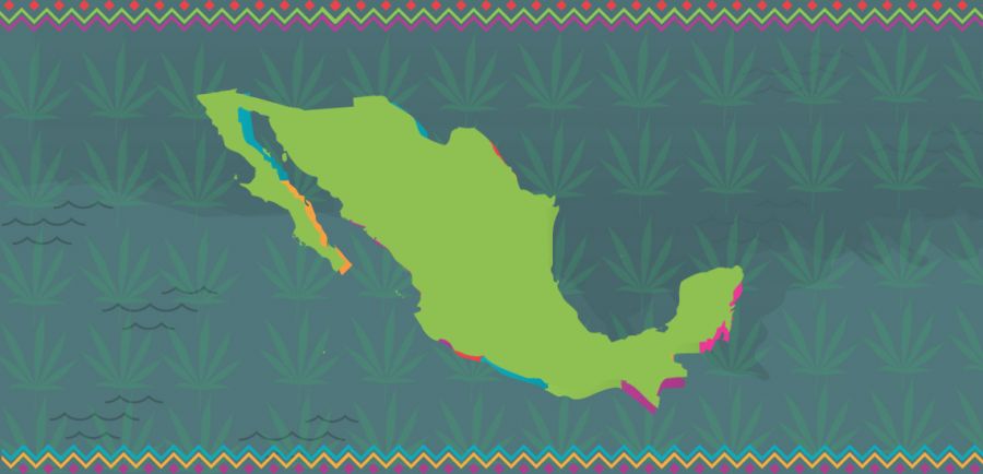 Photo for: Mexico Inches Towards Marijuana Legalization