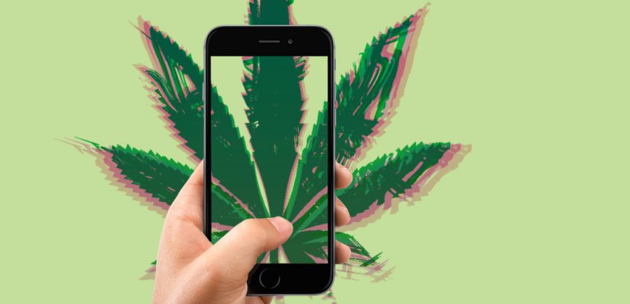 Photo for: Top Cannabis Apps To Download Now