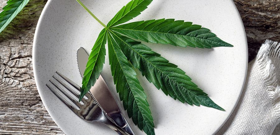 Photo for: Cannabis, edibles and restaurants: what can you legally find on the menu? 